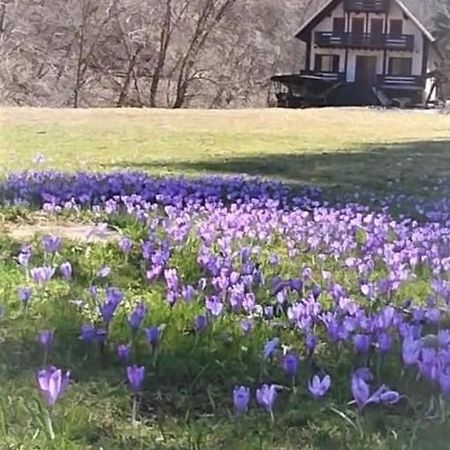 Casa De Vacanta Satic Piatra Craiului La Doi Viermi Экстерьер фото