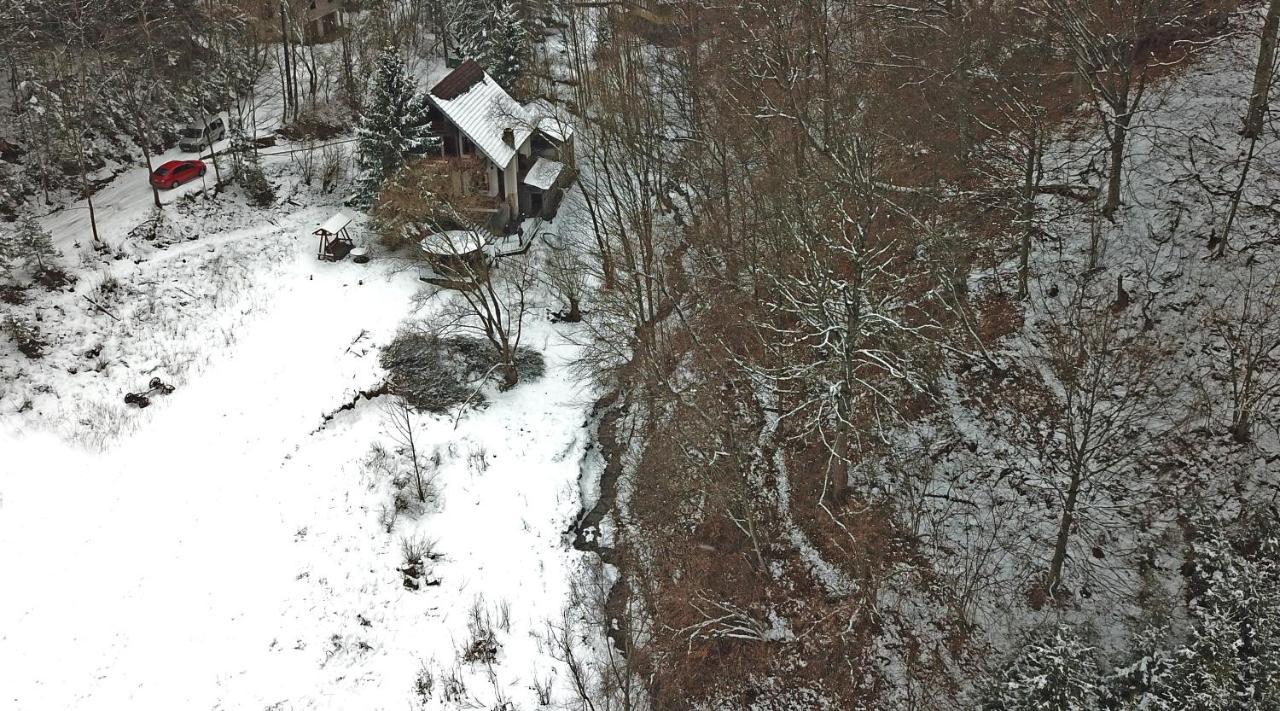 Casa De Vacanta Satic Piatra Craiului La Doi Viermi Экстерьер фото