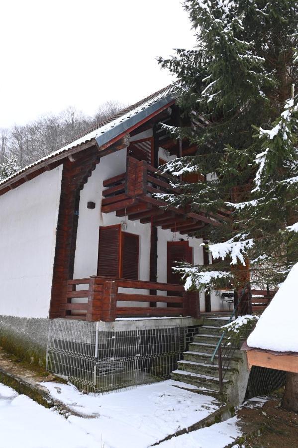 Casa De Vacanta Satic Piatra Craiului La Doi Viermi Экстерьер фото