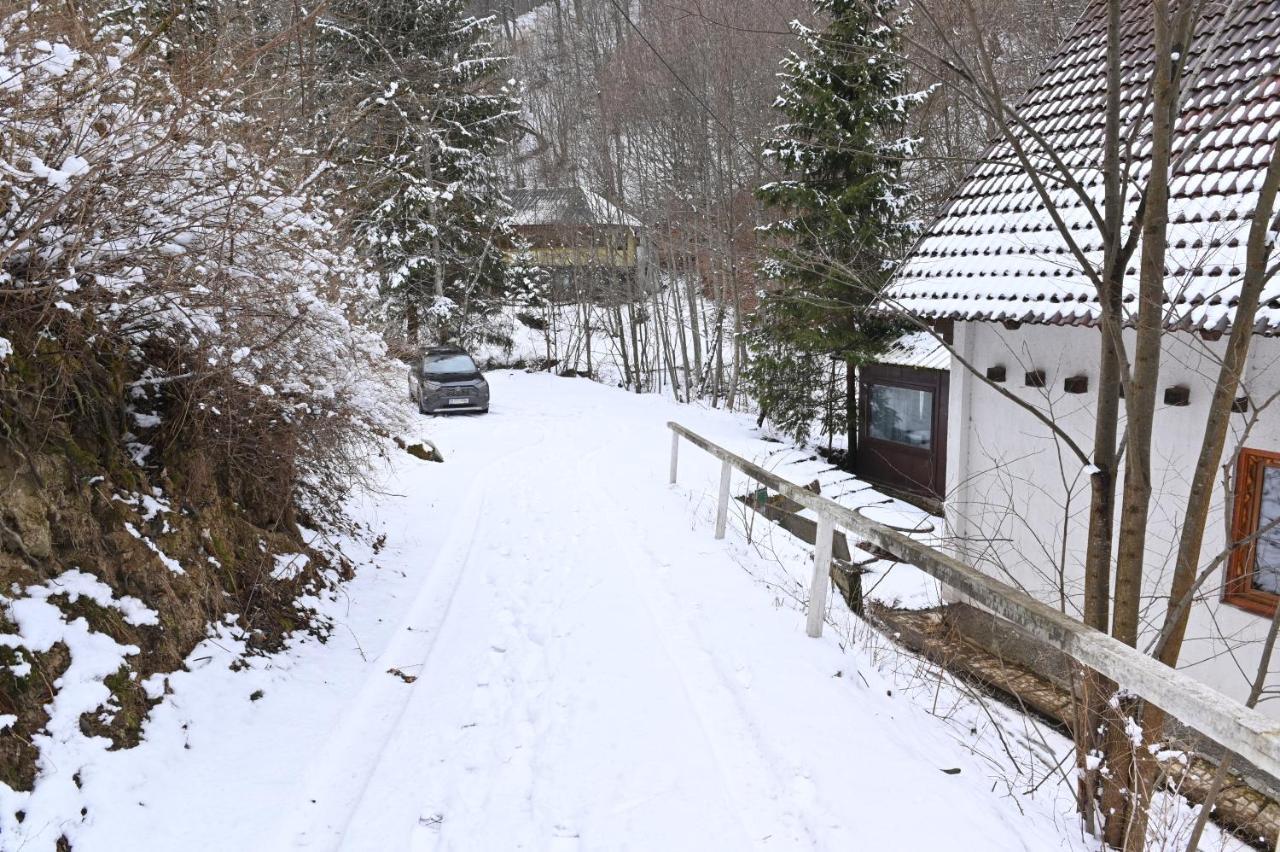 Casa De Vacanta Satic Piatra Craiului La Doi Viermi Экстерьер фото