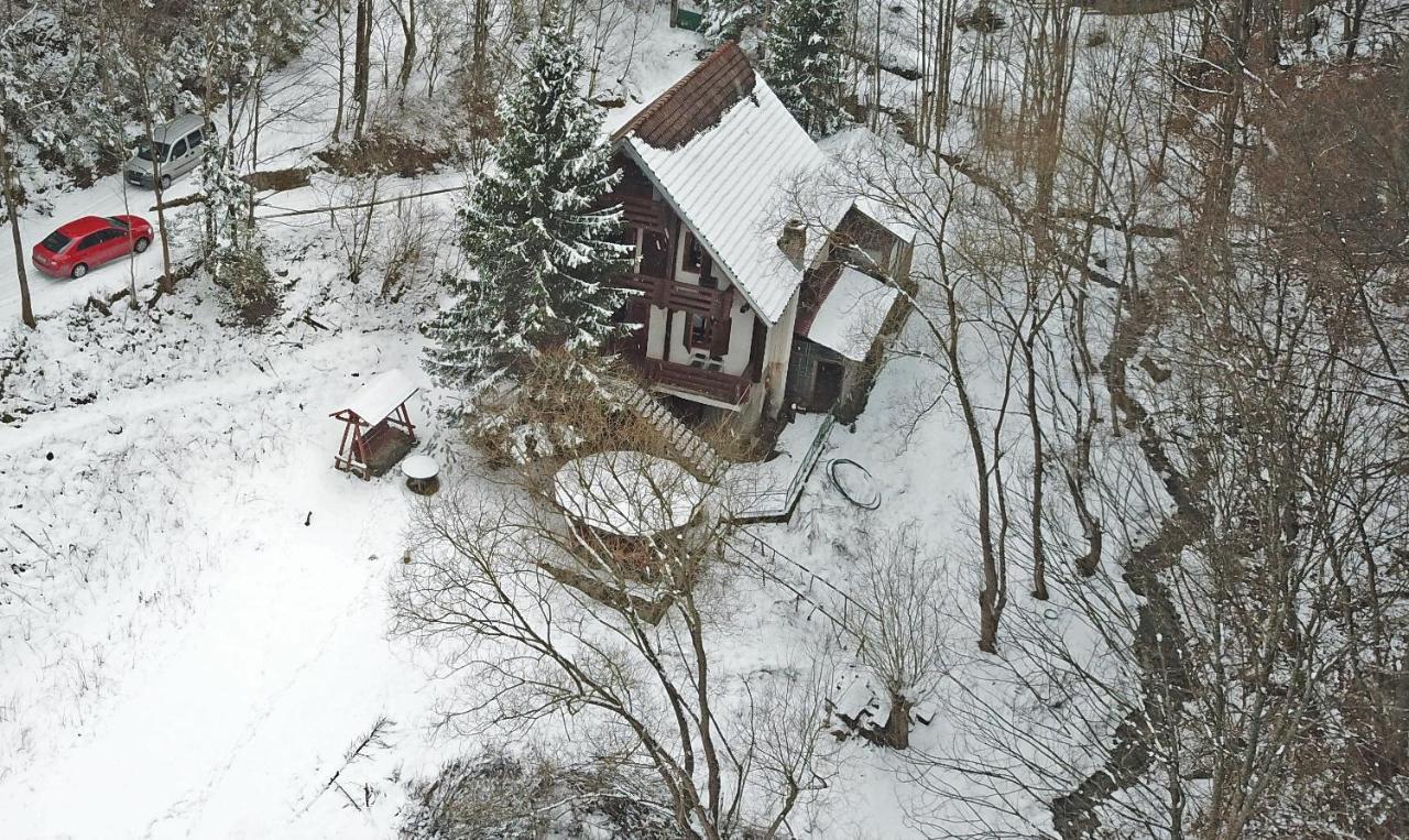 Casa De Vacanta Satic Piatra Craiului La Doi Viermi Экстерьер фото