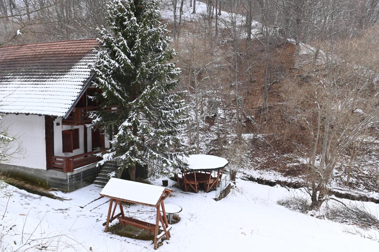Casa De Vacanta Satic Piatra Craiului La Doi Viermi Экстерьер фото