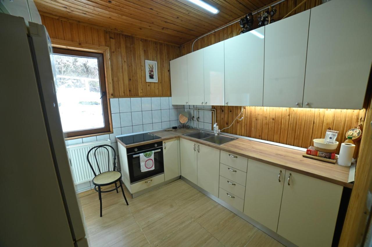 Casa De Vacanta Satic Piatra Craiului La Doi Viermi Экстерьер фото