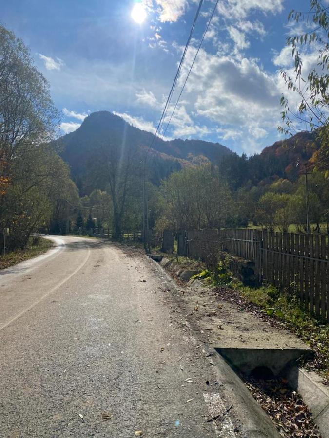 Casa De Vacanta Satic Piatra Craiului La Doi Viermi Экстерьер фото