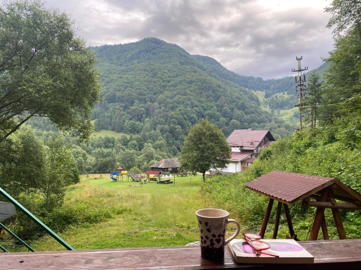 Casa De Vacanta Satic Piatra Craiului La Doi Viermi Экстерьер фото