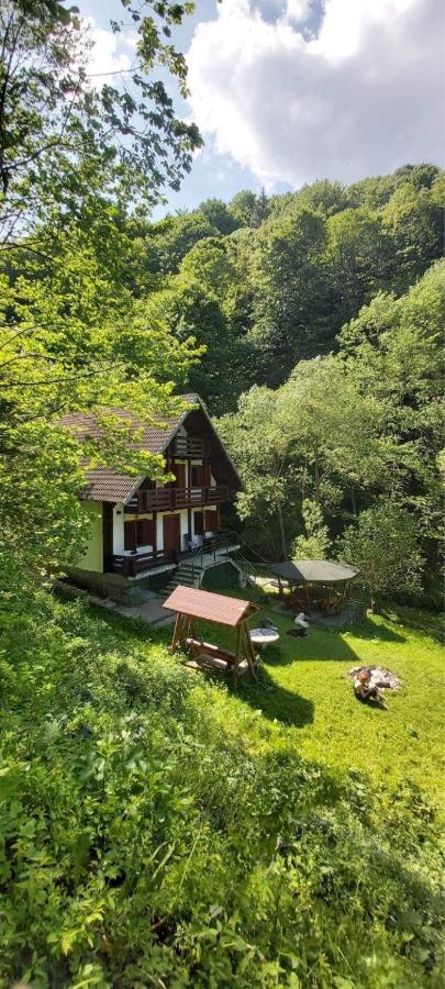 Casa De Vacanta Satic Piatra Craiului La Doi Viermi Экстерьер фото