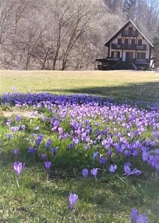 Casa De Vacanta Satic Piatra Craiului La Doi Viermi Экстерьер фото
