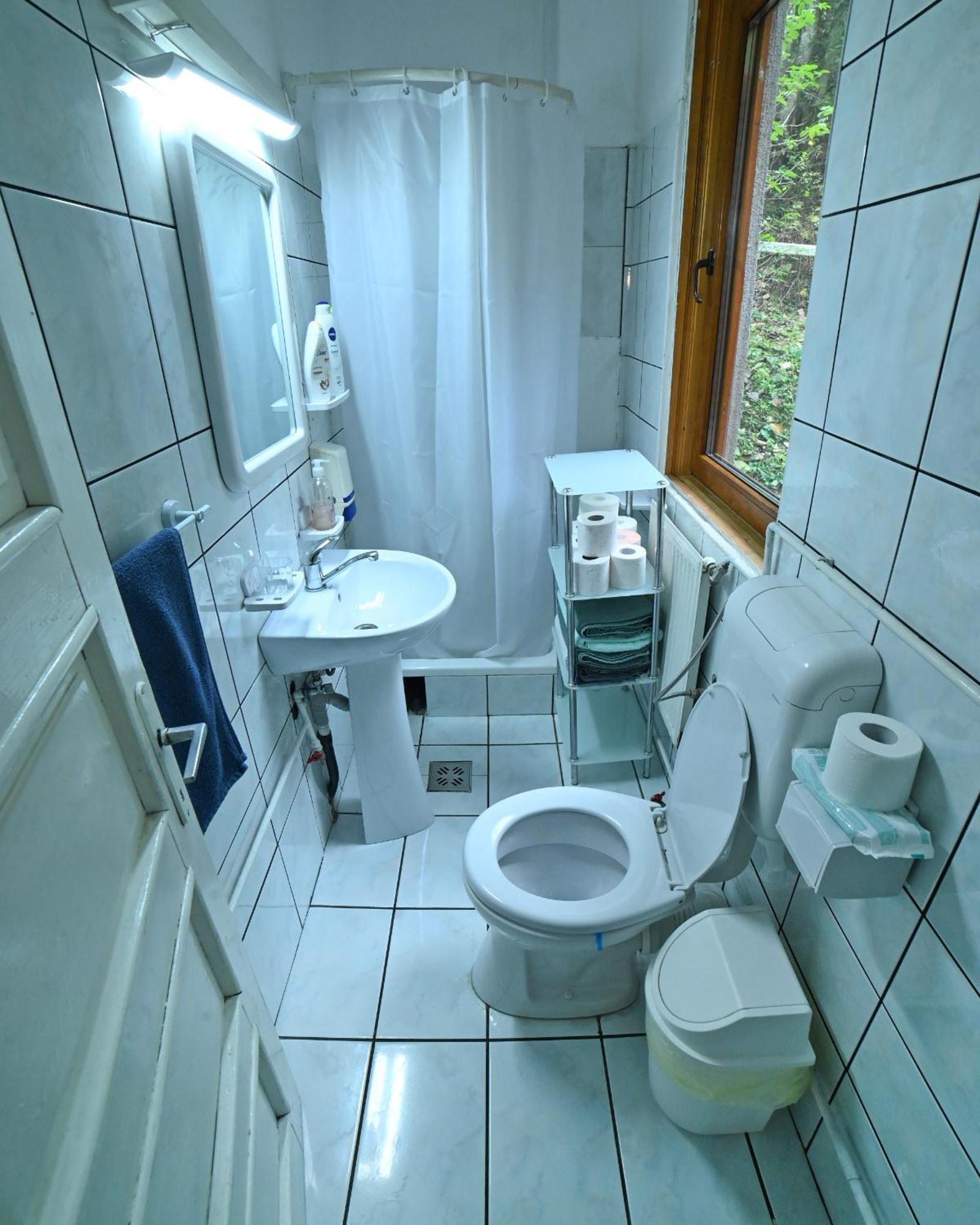 Casa De Vacanta Satic Piatra Craiului La Doi Viermi Экстерьер фото